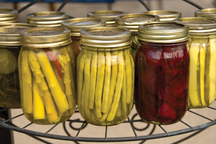 Homemade Apple Jelly Recipe: Canning for Beginners
